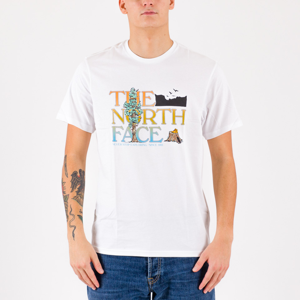 North face hotsell graphic tee